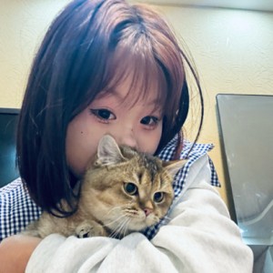 桐小飞