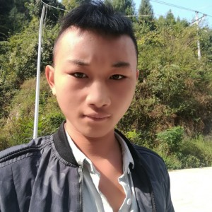 向上天再借五百年