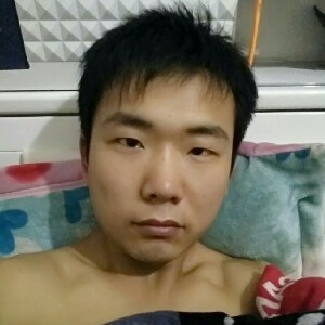 丛林中鸟