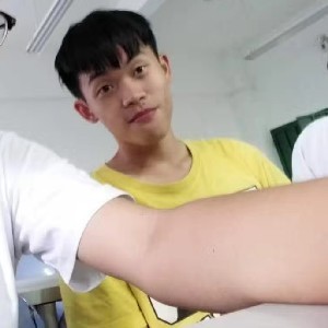 僚机