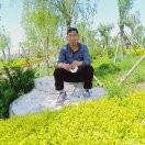 森林之水