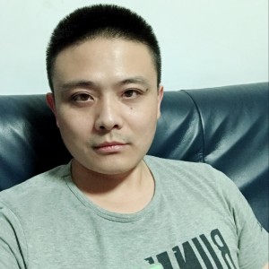 勤恳的斑马