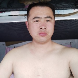 笑点低的蜜蜂