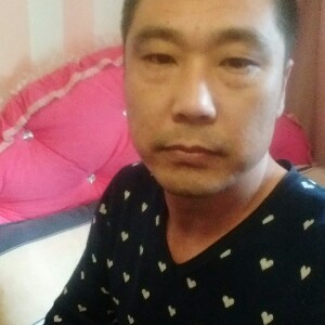 碧蓝的鸡