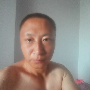 会撒娇的大树