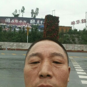 罗哥哥