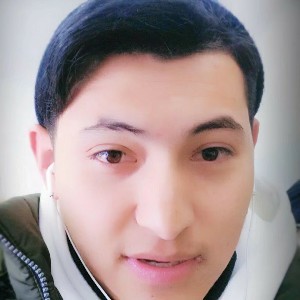 丹麦er