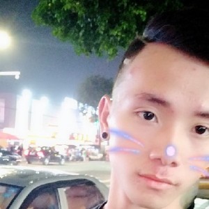 拼搏的菠萝