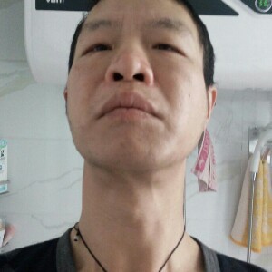 文艺的玫瑰