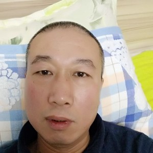 谨慎的刺猬