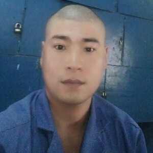 情来一来