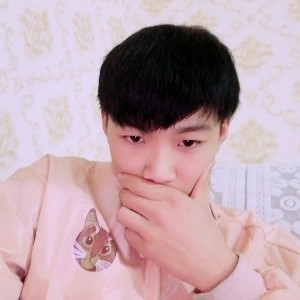 炮12