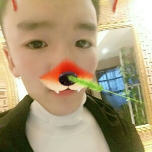 *盖世帝尊~