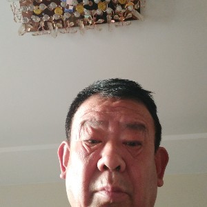 执着的小鸽子
