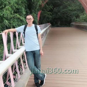 今世缘2025