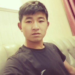 又见柳絮纷飞