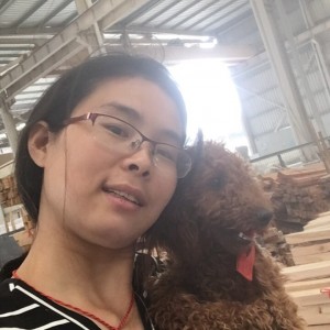 爱情败给了生活