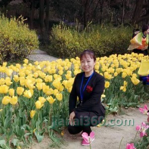 王安娜王妃