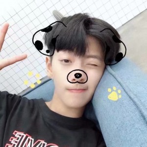 沈逸辰