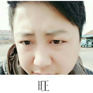 谭十三