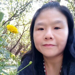顾东梅