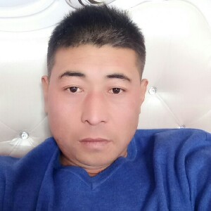 细心的羊