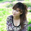 小白猪258