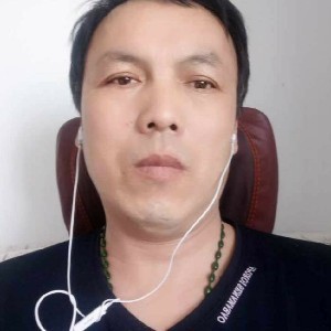 北方的胡杨