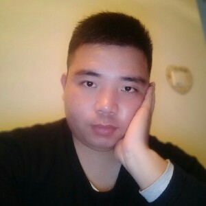 热心的金毛
