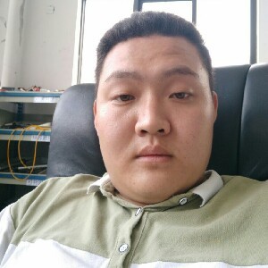 维密斯
