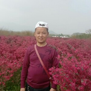 冬天的阳光9