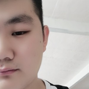 整齐的小天鹅