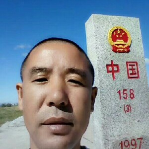 淡淡的树叶