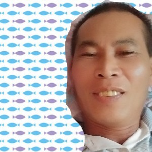 悦耳的羽毛