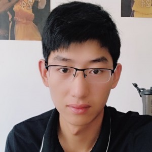 倔强的白海豚