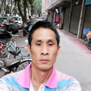 拼搏的小刺猬