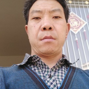 烂漫的乌龟