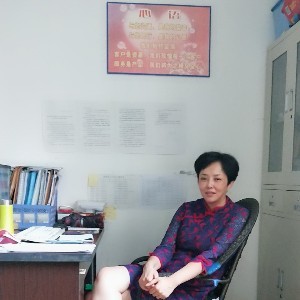 乘风展翼