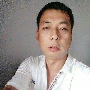 半园小树