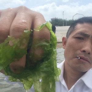 璀璨的石头