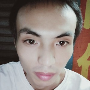清风笔鹤