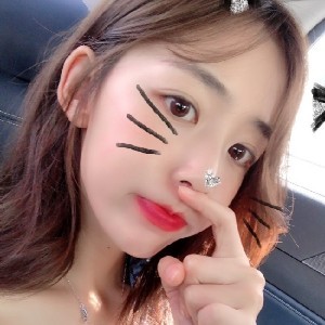 呆萌小泰迪