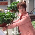 感情的密码