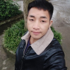 野性的斑马