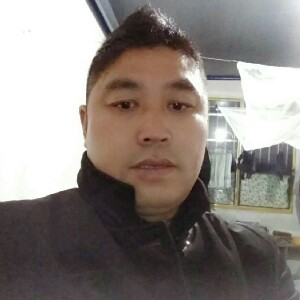 动力汽车