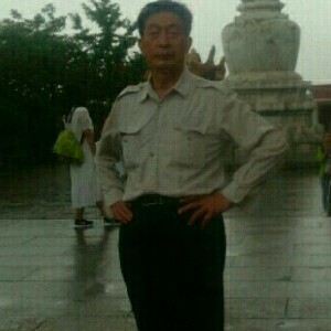 大方的黄蜂