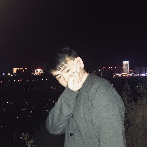 布芝稻