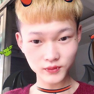 贪玩的金毛
