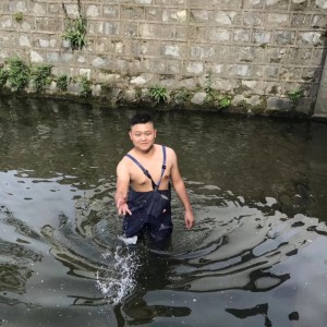 橙风破浪