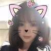 鱼小傻